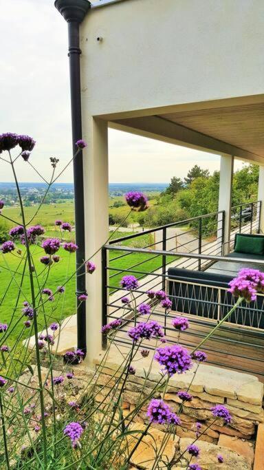 La Maison De L'Ecu : Charme Et Vue Incroyable Beaune  Bagian luar foto