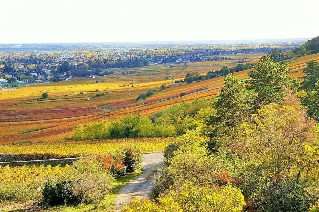La Maison De L'Ecu : Charme Et Vue Incroyable Beaune  Bagian luar foto