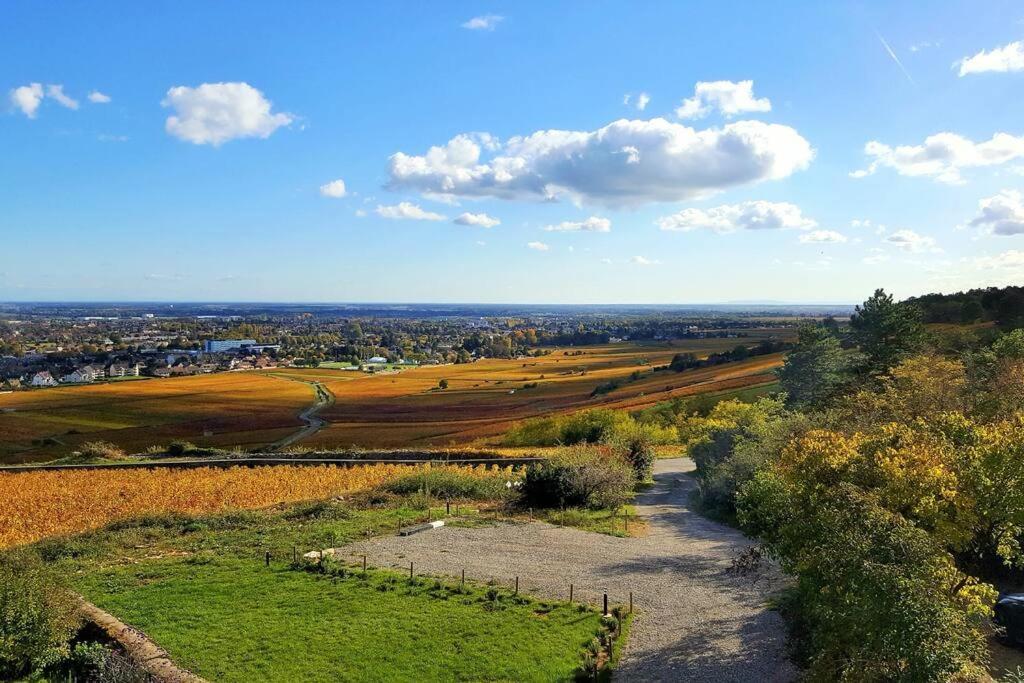 La Maison De L'Ecu : Charme Et Vue Incroyable Beaune  Bagian luar foto