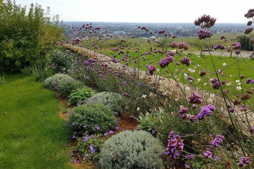 La Maison De L'Ecu : Charme Et Vue Incroyable Beaune  Bagian luar foto